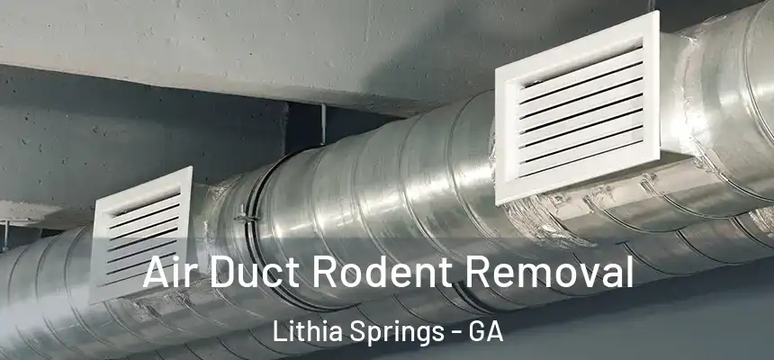  Air Duct Rodent Removal Lithia Springs - GA
