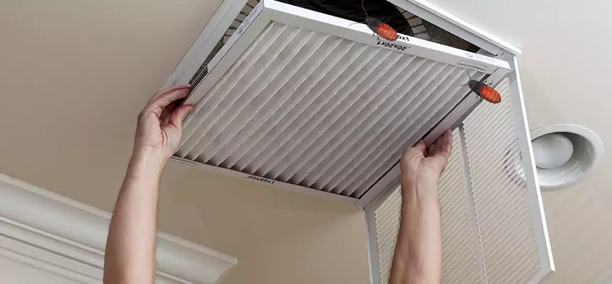 Preventive Cockroach-Proofing for Ducts in Lithia Springs