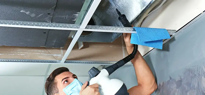 Our Air Duct Rodent Removal Services in Lithia Springs, GA