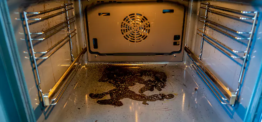 Our Dryer Vent Mold Cleaning Services in Lithia Springs, GA