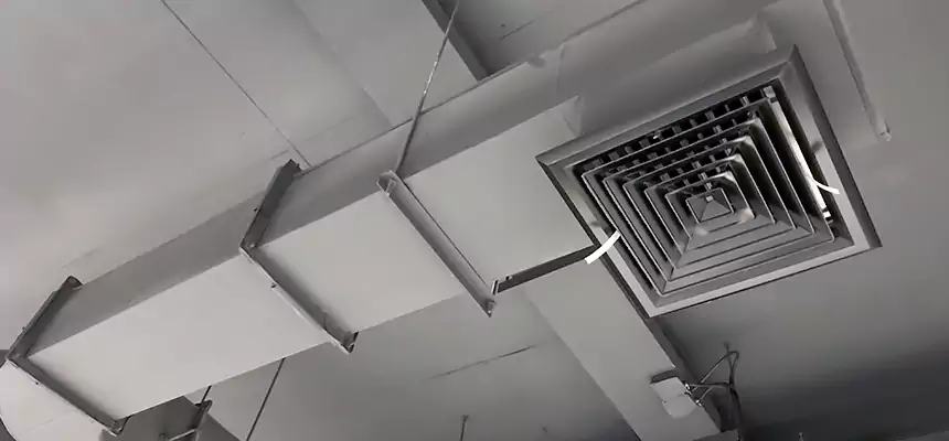 Our Pest Removal From Ducts Services in Lithia Springs, GA