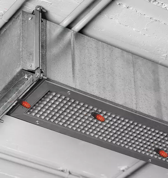 About Air Duct Cockroach Removal in Lithia Springs, GA