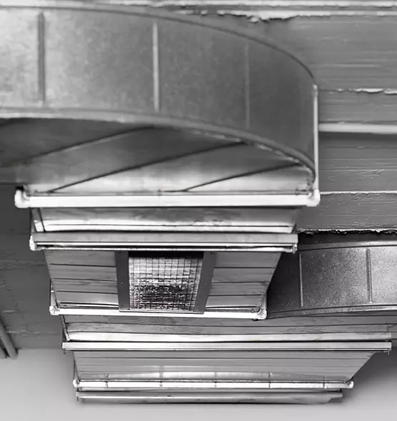 Professional Air Duct Pet Hair Removal in Lithia Springs, GA