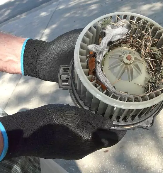 About Air Duct Rat Removal in Lithia Springs, GA