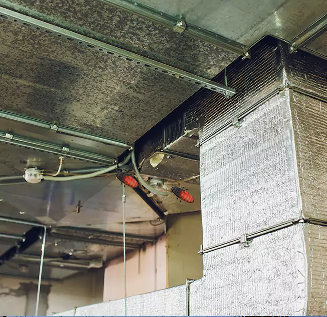 Why Homeowners & Businesses Trust Us in Lithia Springs, GA?